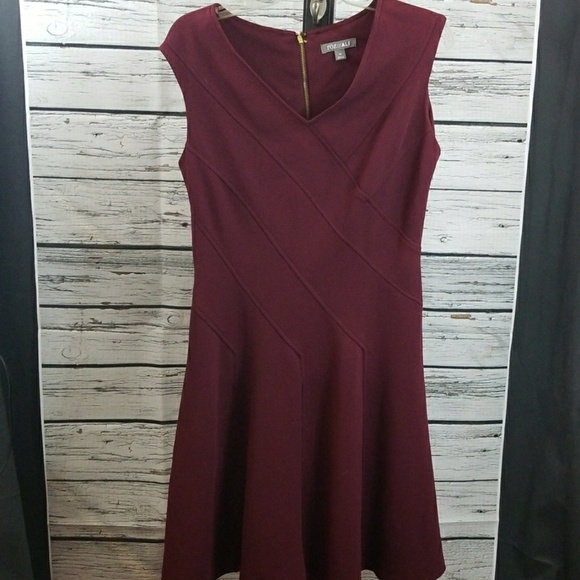 Roz & Ali Dresses & Skirts - Roz & Ali plum sleeveless vneck stretchy dress 10